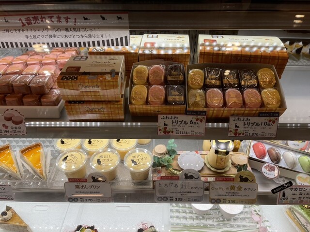 Chat Noir Naikanryokuten photo 2