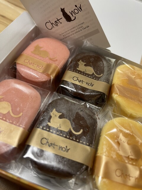 Chat Noir Naikanryokuten photo 3