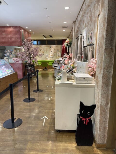 Chat Noir Naikanryokuten photo 4