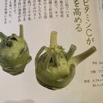 Yasaigashuyakunokominkabyufferesutorankakana - これがコールラビ。