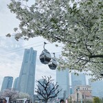 水信フルーツパーラー - 