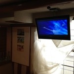 神戸パリ食堂 - 