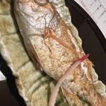 のどぐろ専門店 赤坂 かなめ - 