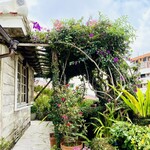 琉球料理 ぬちがふぅ - 