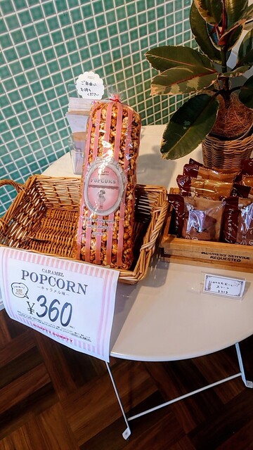 44mm パンプキンダン クルミ ハンプティーダンプティー 高崎上中居店 （HUMPTY DUMPTY） - 南高崎