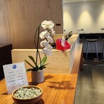 oneworld Alliance Lounge - 