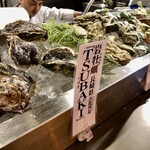 Oisuta Bajakku Potto - 美味しそうな牡蠣が並んでいます