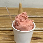 アンティカ ジェラテリア - 