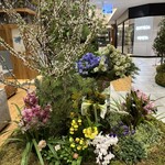 アンティカ ジェラテリア - 