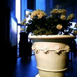 マドラウンジ - 入り口