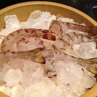 割烹 川田 - 車海老のパチパチ