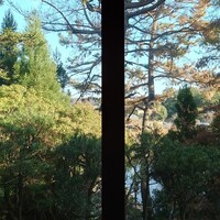 メインダイニングルーム 三笠 - 