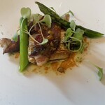 マダム・トキ - 