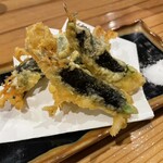 酔い夜 あらたえ - 白魚と大葉磯部揚