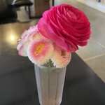 呑龍文庫 ももとせ - 