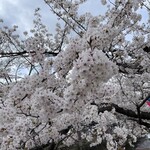 呑龍文庫 ももとせ - 