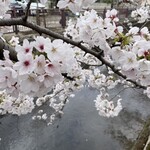 呑龍文庫 ももとせ - 