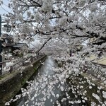 呑龍文庫 ももとせ - 