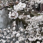 呑龍文庫 ももとせ - 