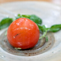 La Stalla - 2024.4 バジルと自家製リコッタチーズのペーストを詰めた筑西産スーパーフルーツトマト 羊のチーズで和えたゆずもファーム産バジルスプラフト