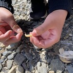 有間渓谷名栗観光釣り場 - 