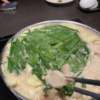 博多もつ鍋 やま中 赤坂店 -  博多もつ鍋 やま中 赤坂店 -