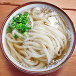 手打ちうどん ぶれーど・う - かけうどん