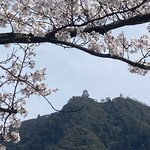ラウンジ フローラ - 桜と稲葉山城