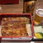 Shinjuku Unagi Kikukawa - 