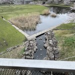 そば処 砂武縞 - 帰路、通りかかった反町の森公園で人並みに花見^_^