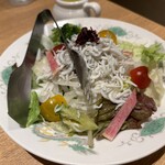 Izakaya Fujiya - 新玉ねぎとシラスのサラダ