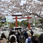 Kamakura Minemoto - 