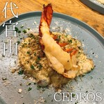 CEDROS - 