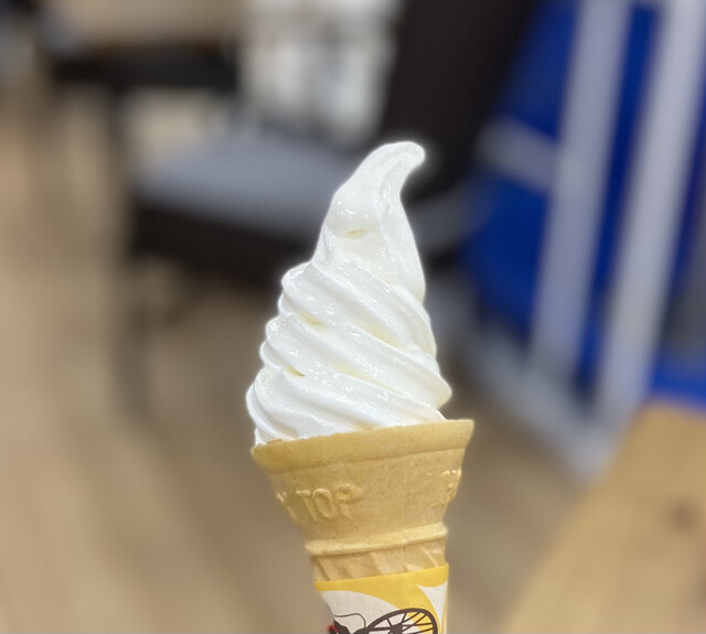 McDonald's Ion Toyokawa Ten