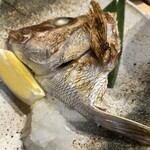 Oshokujidokoro Shunsai Ik Kon - 鯛の兜焼き！個人的に一番美味しいと思う焼き魚です。アツアツホクホクで美味しかった！