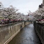 KURA - お店の近くはちょっと桜が寂しい感じ