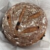 Pan Koubou - 米粉ぶどうパン（キング）