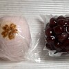 菓房 いがわ - 和菓子２個