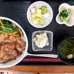 Michinoekiagurimushouwa - 焼肉丼