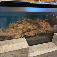 日比谷 蟹みつ - 