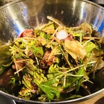 朱楽 - 朱楽サラダ✨タコさんがゴロゴロ！これが進化して甘辛ダレで後から辛さが来るのが堪らない♪（≧∇≦）♪✨