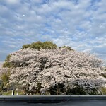 どうとんぼり神座 - 窓からの絶景