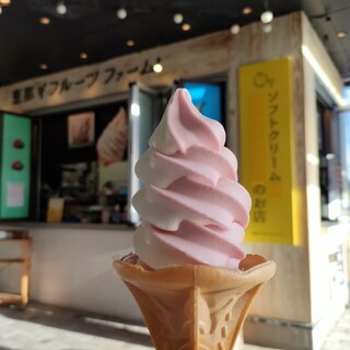 恵那フルーツファーム_1