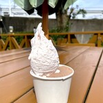 アイス工房メーリア - ジェラートダブル・カップ 
いちごミルクとジャンドゥーヤ（チョコ）