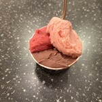 GELATERIA ACQUOLINA - 