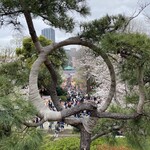 デリリウムカフェ 上野 - 