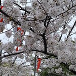 デリリウムカフェ 上野 - 