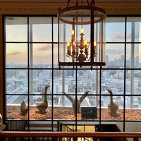 Benoit Alain Ducasse - 