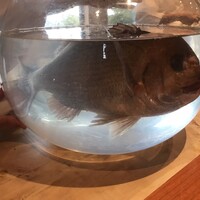 日本料理 別府 廣門 - 