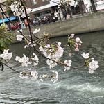 居酒屋 みえ蔵 - 